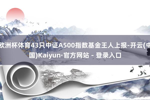 欧洲杯体育43只中证A500指数基金王人上报-开云(中国)Kaiyun·官方网站 - 登录入口