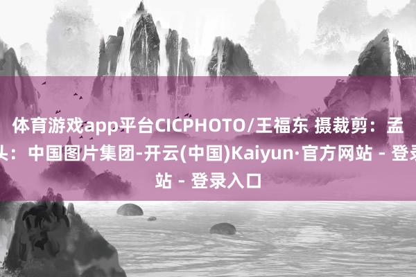 体育游戏app平台CICPHOTO/王福东 摄　　裁剪：孟冉　　开头：中国图片集团-开云(中国)Kaiyun·官方网站 - 登录入口